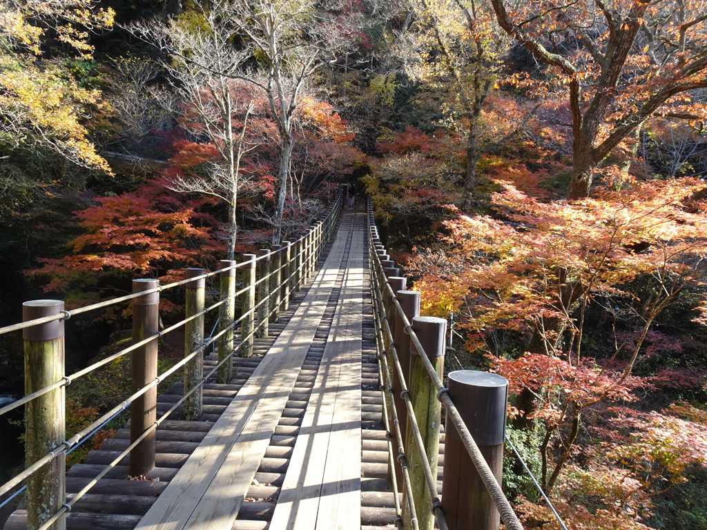 花貫渓谷にて