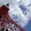 HATO BUS【東京タワーⅡ】