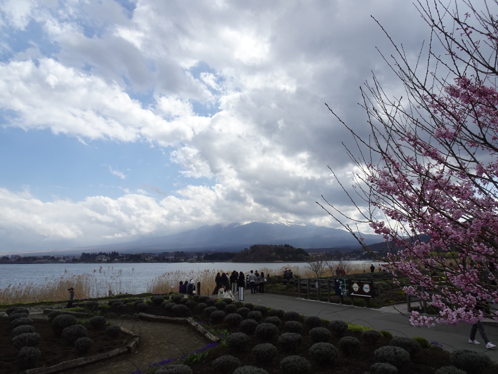 富士山めぐりⅡ