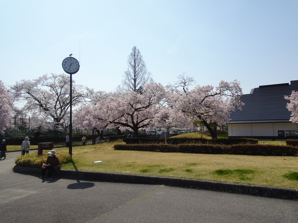 会津観光その２