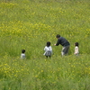 久慈川河川敷