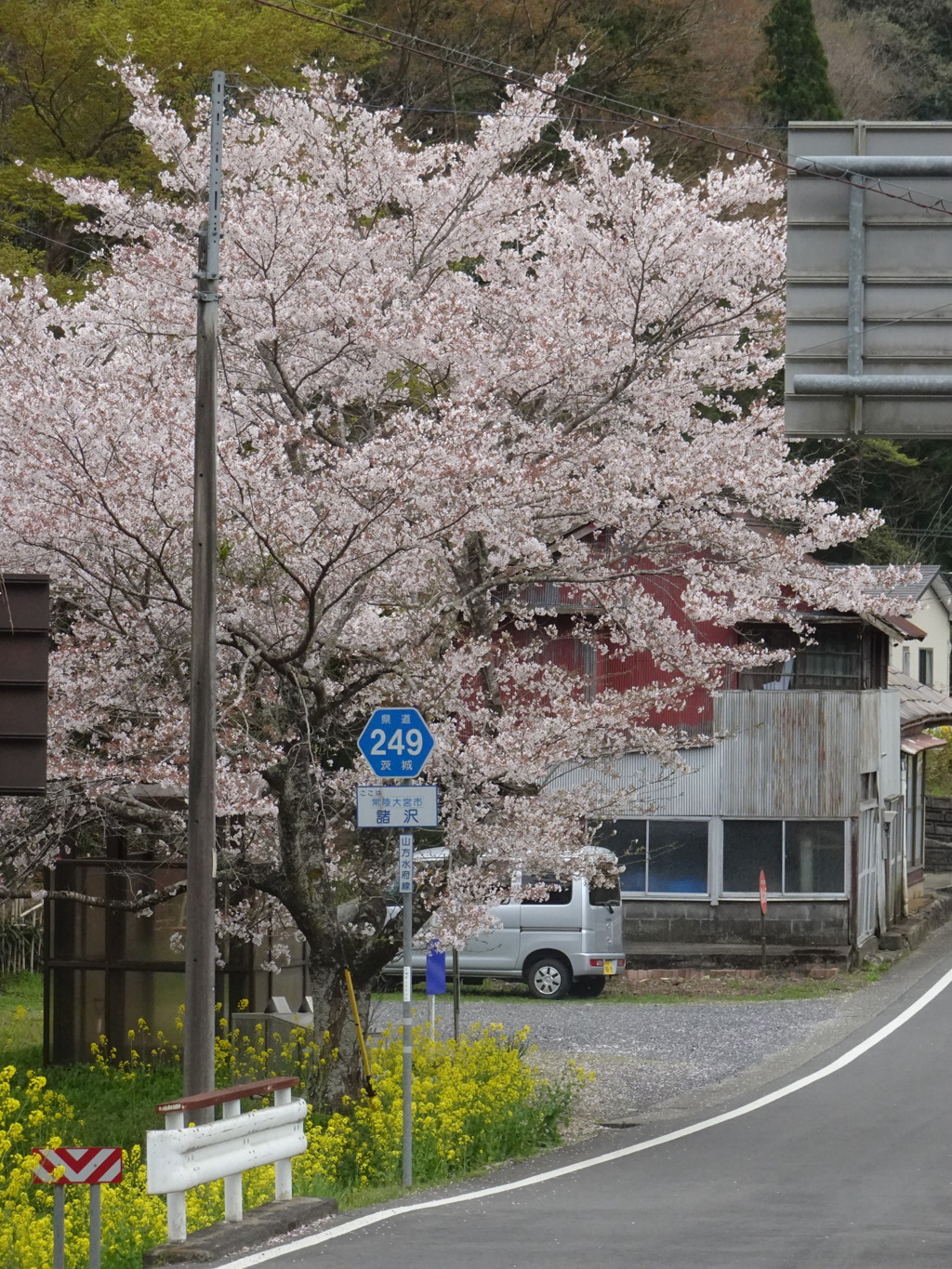 常陸大宮にてⅡ