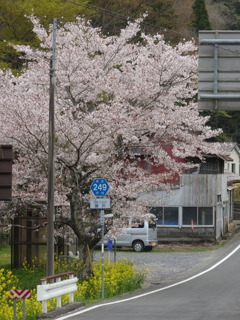 常陸大宮にてⅡ