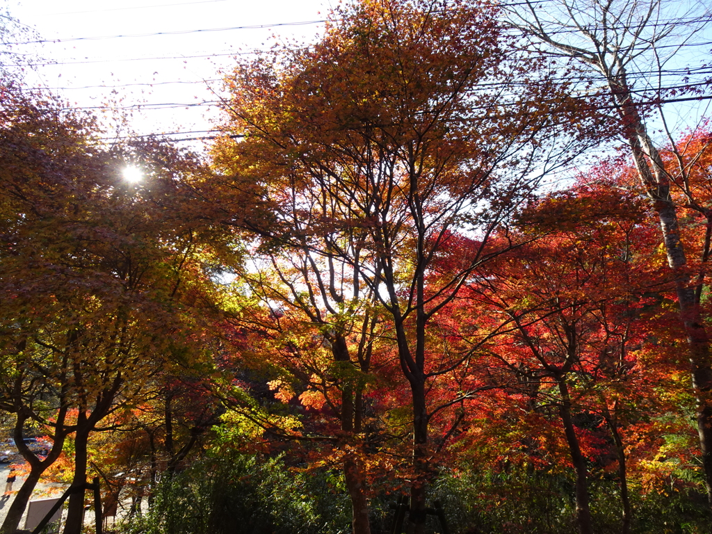 花貫渓谷にて