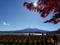 富士山めぐり