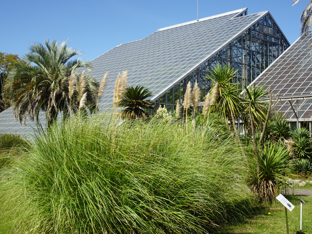 筑波実験植物園Ⅱ【秋涼】