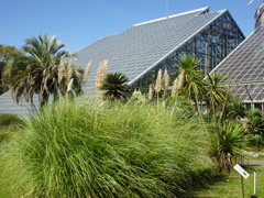 筑波実験植物園Ⅱ【秋涼】