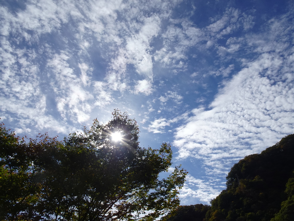 秋空ですね！