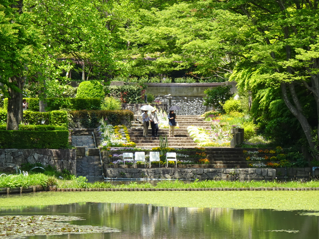 水戸市植物園【立夏】