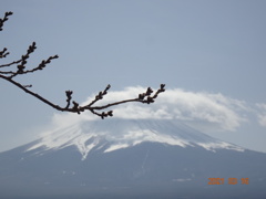 はじめて富士山