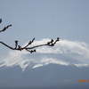 はじめて富士山