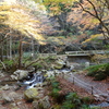 花園神社Ⅱ