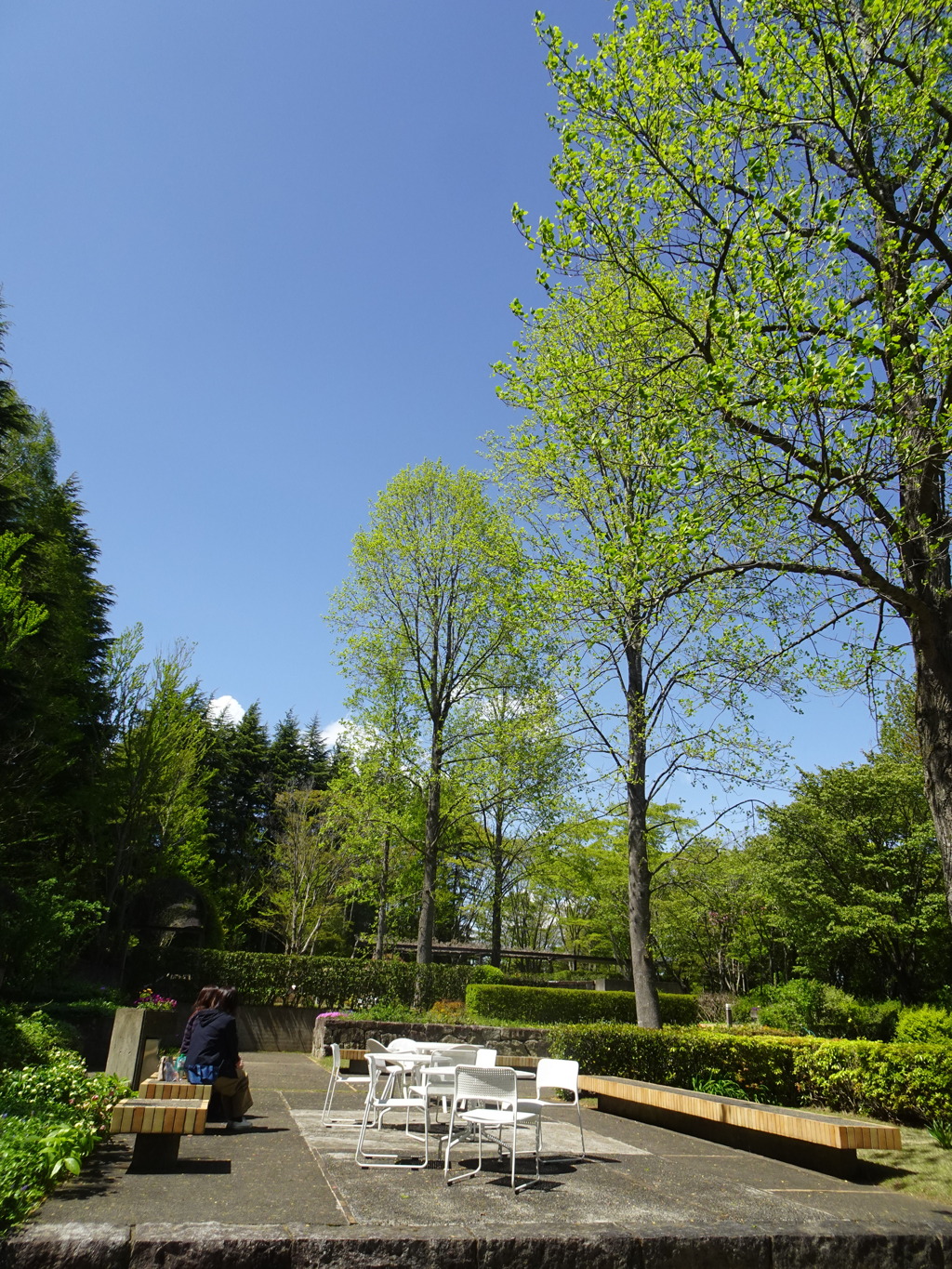 水戸植物公園にて