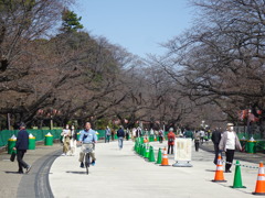 上野公園にて