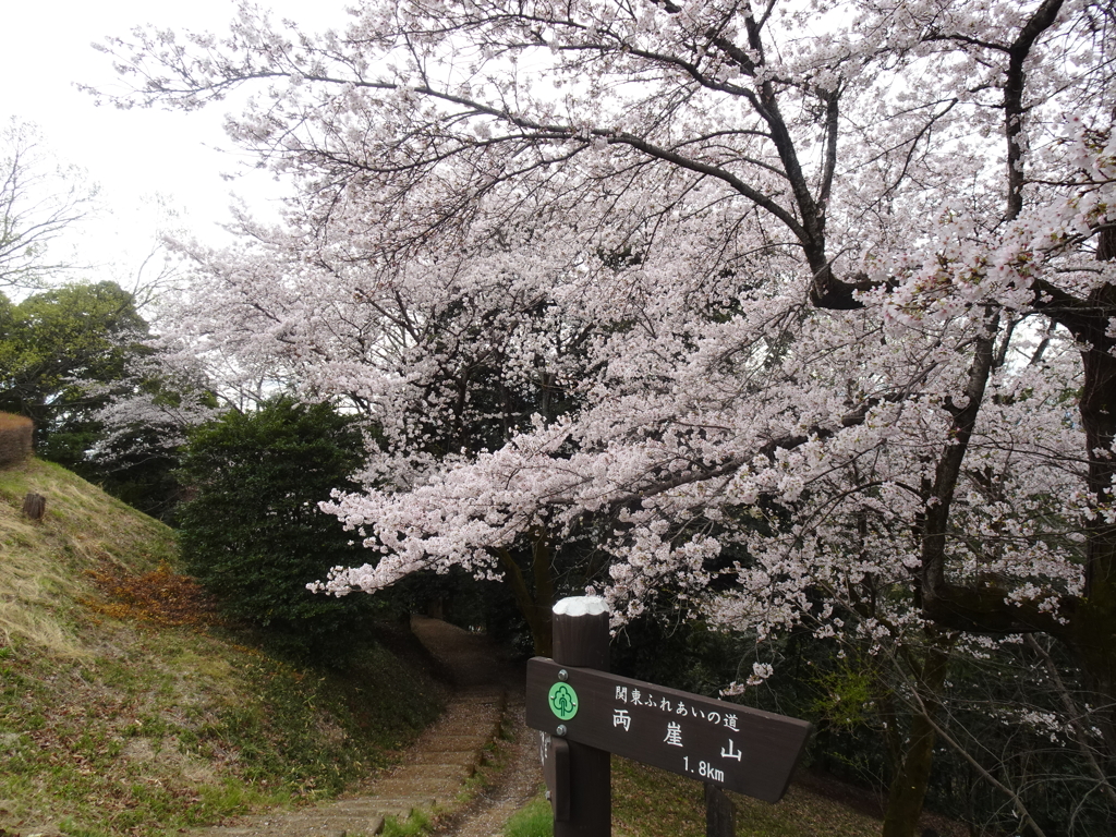 両崖山・織姫公園