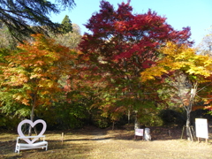 花貫渓谷にて