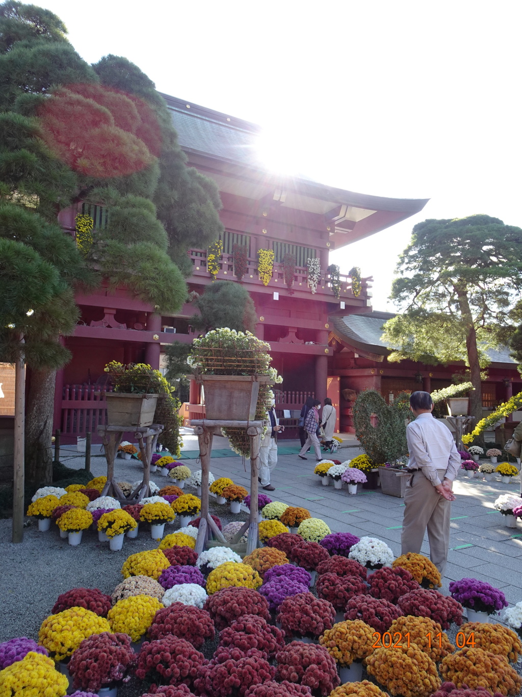 笠間菊祭り