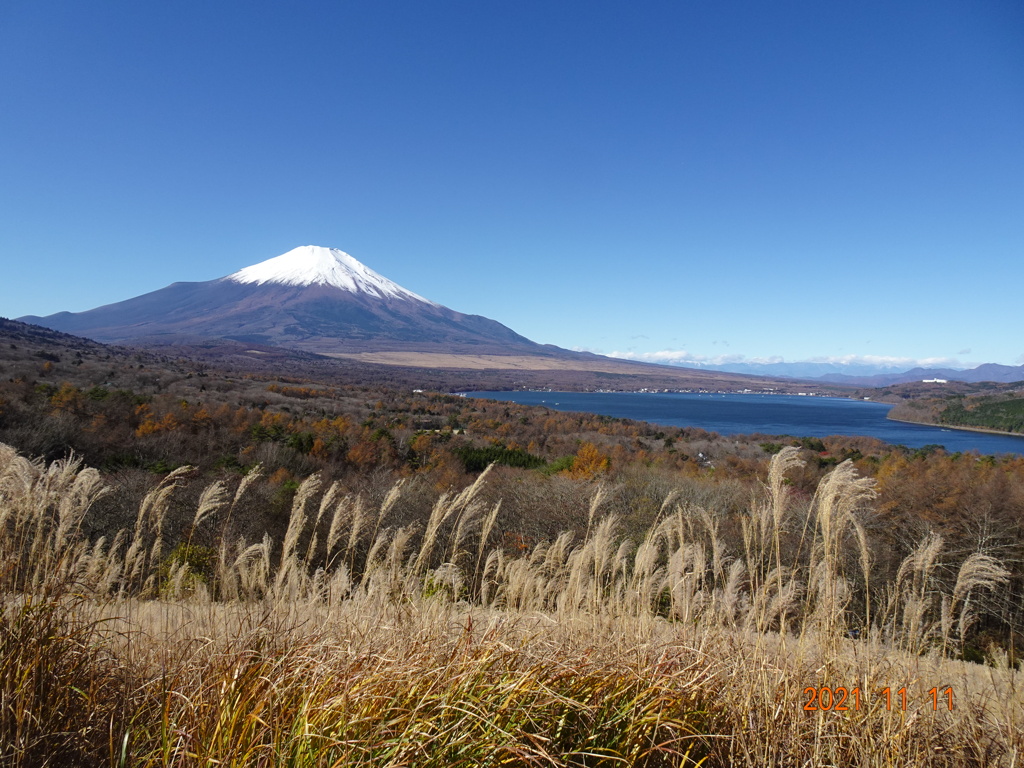 富士山めぐり