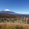 富士山めぐり