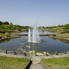 ひたちなか海浜公園【麗春Ⅱ】