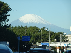 富士山めぐり