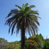 筑波実験植物園Ⅱ【秋涼】