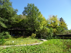 筑波実験植物園Ⅱ【秋涼】