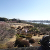 偕楽園梅まつりⅡ