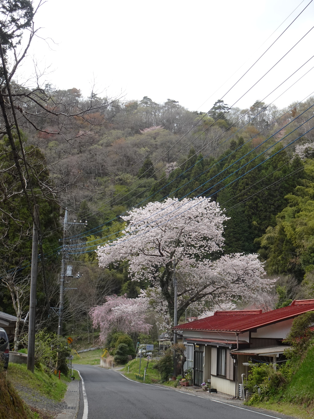 常陸大宮にて