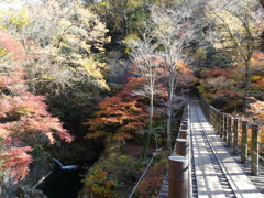 花貫渓谷にて