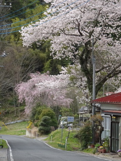 常陸大宮にてⅡ