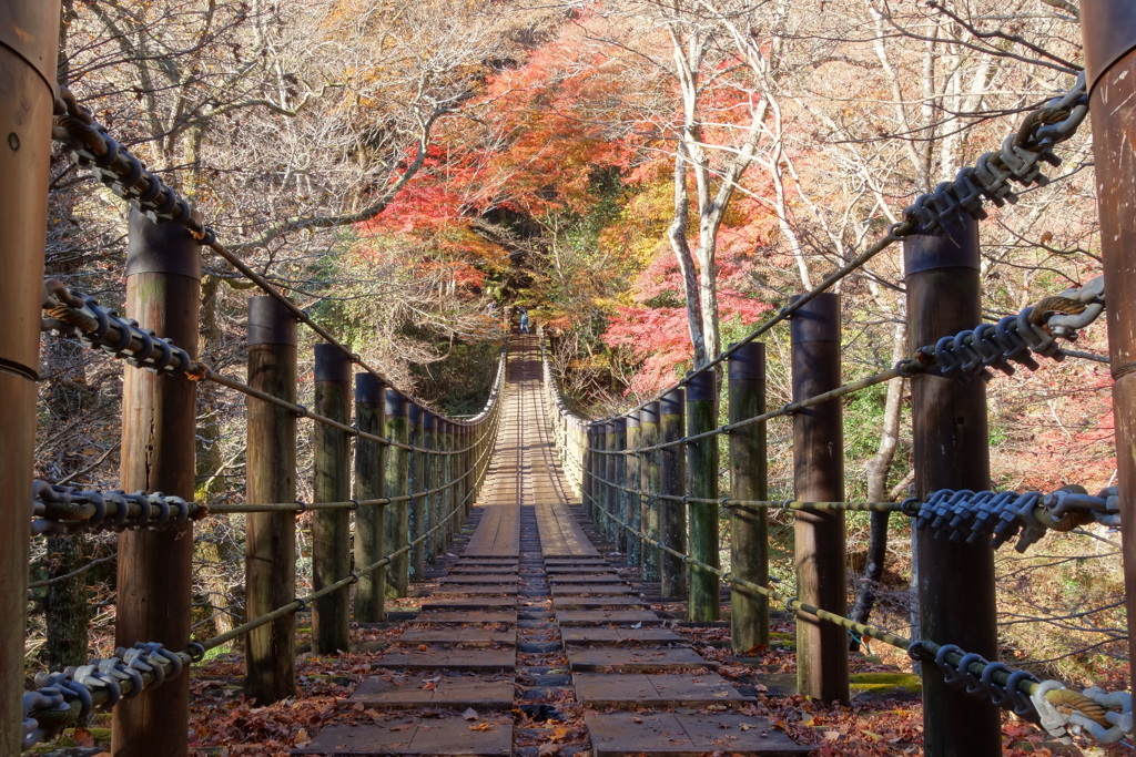 晩秋の汐見滝吊り橋