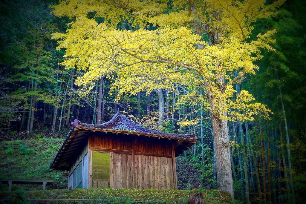 山村に佇む