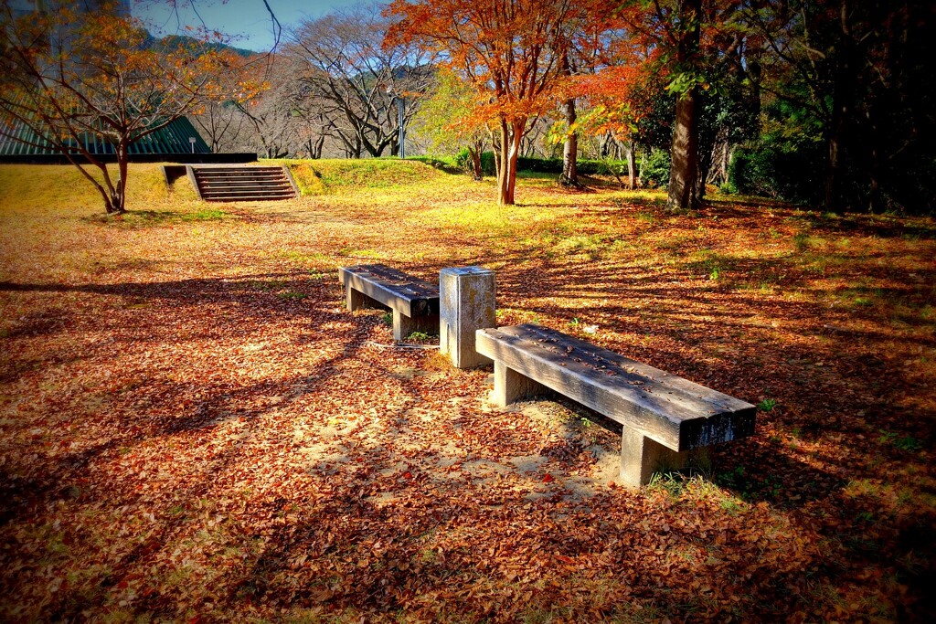 陽の温もり