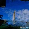 池に映る青空