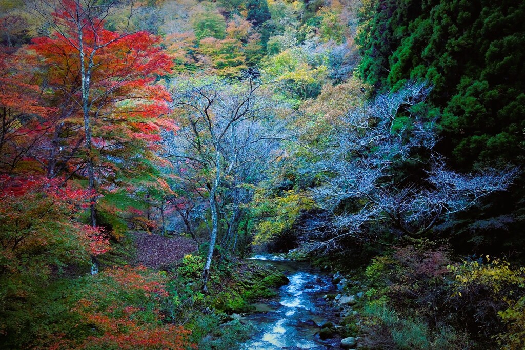 花貫渓谷