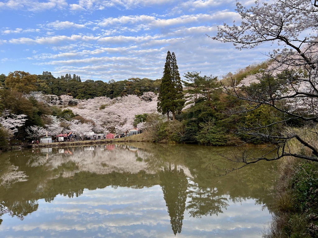 春本番