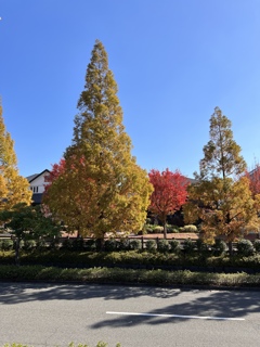街の風景