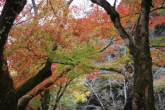 吾平山上陵　入り口