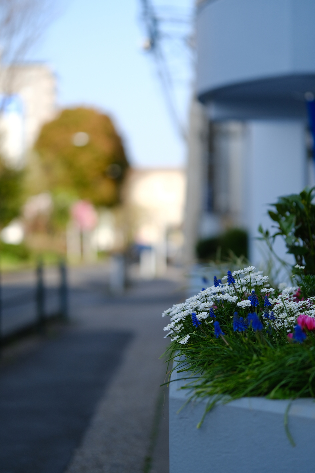 街角スナップ　～その②