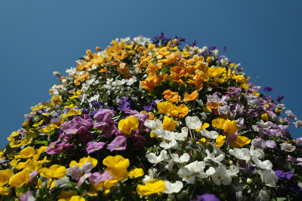 Flower Tower