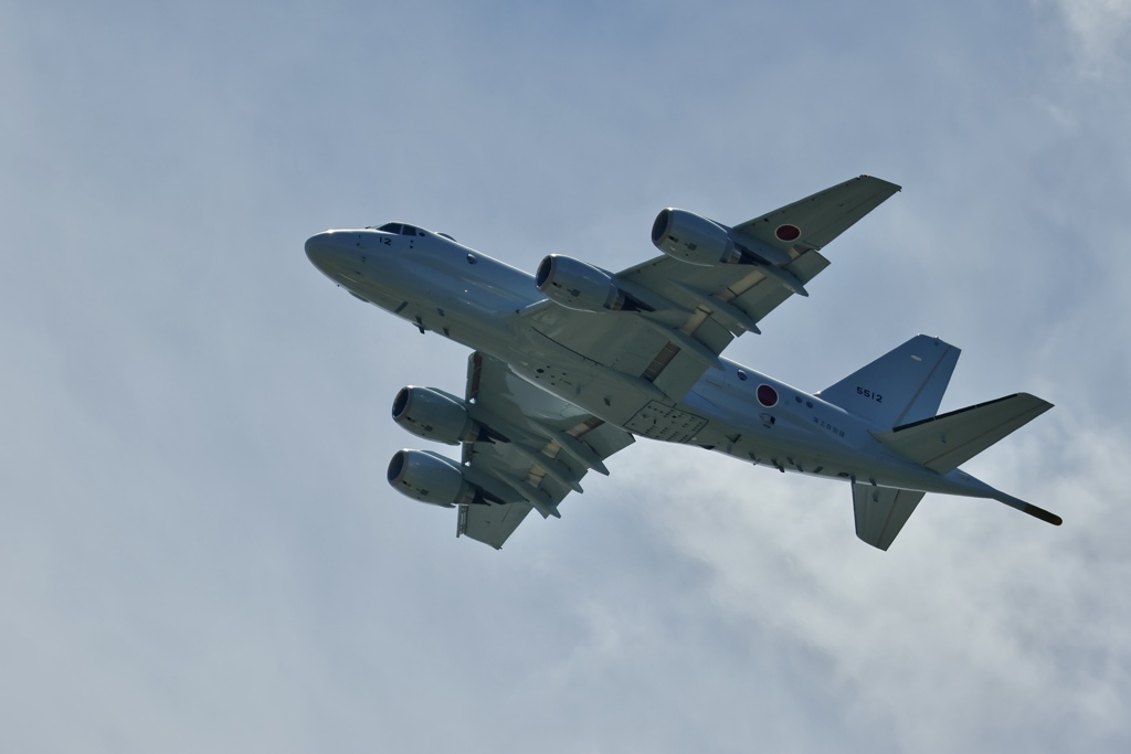 やはりめずらしい(´⊙ω⊙`)