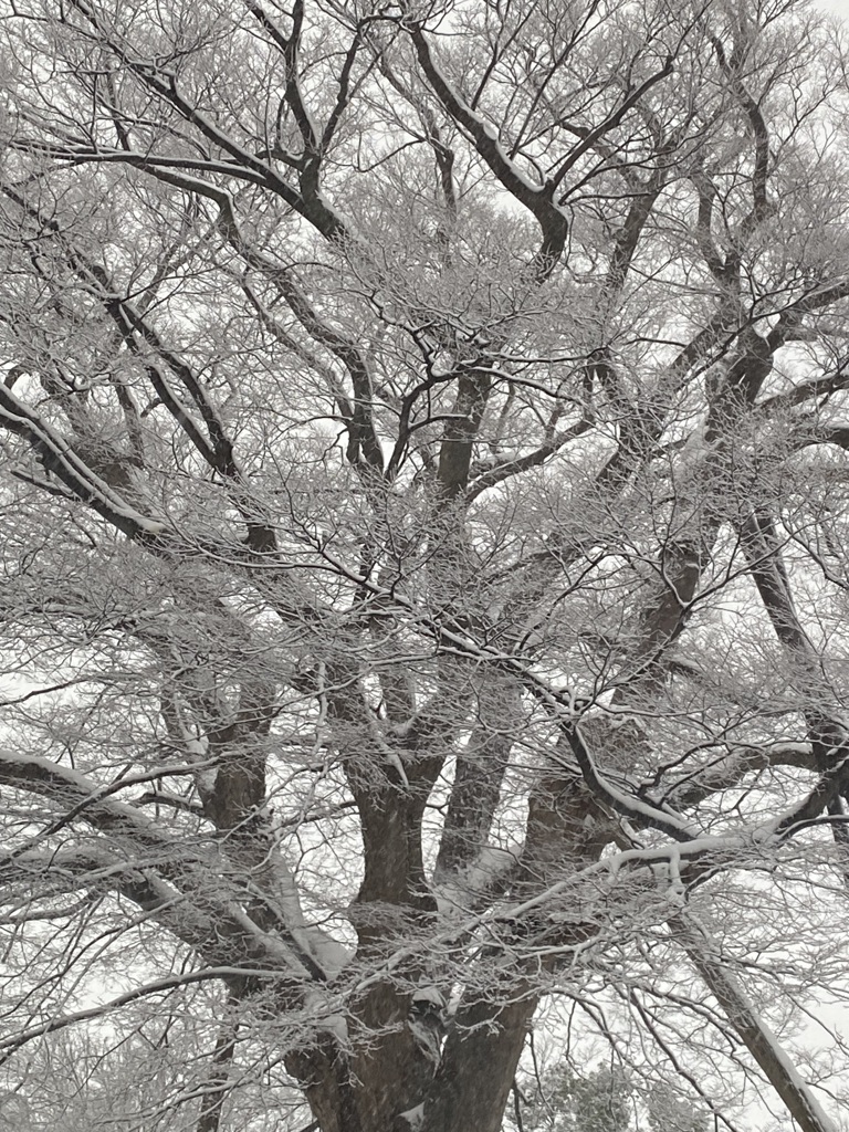 通勤時
