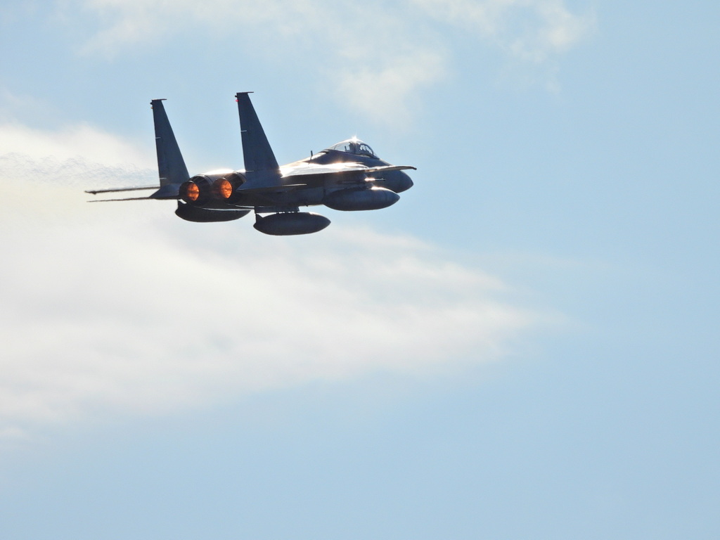 F15