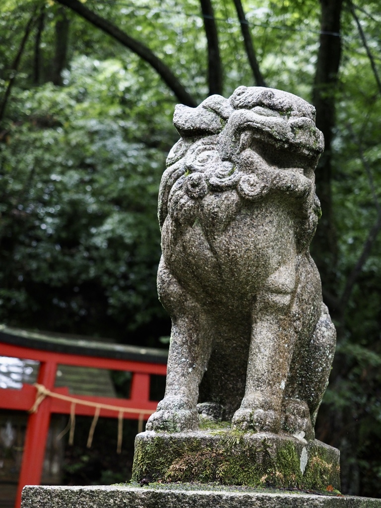 狛犬
