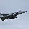 F15