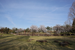 公園