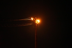 電灯