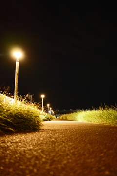 遊歩道