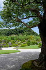 庭園